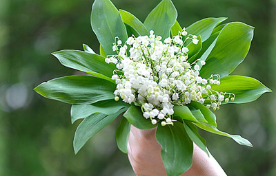 MUGUET POUR LE 1er mai